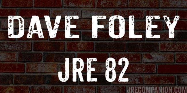 Dave Foley on Joe Rogan 82