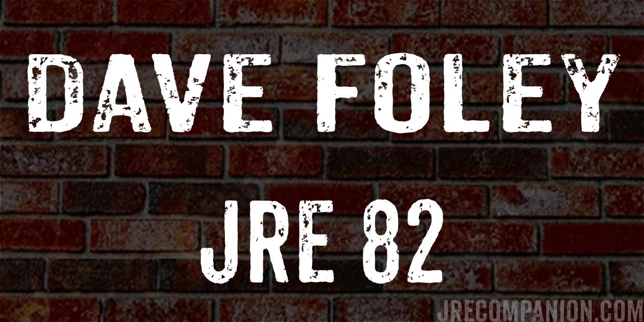 Dave Foley on Joe Rogan 82