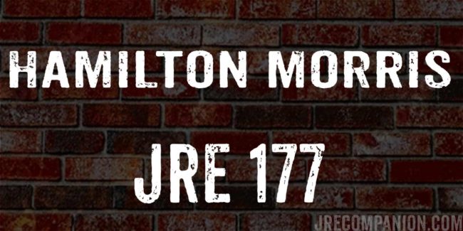 Hamilton Morris on JRE 177