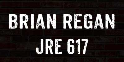 Comedian Brian Regan on Joe Rogan