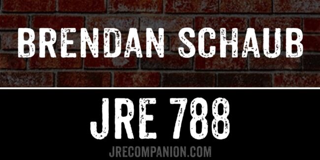 Brendan Schaub on Joe Rogan Podcast 788