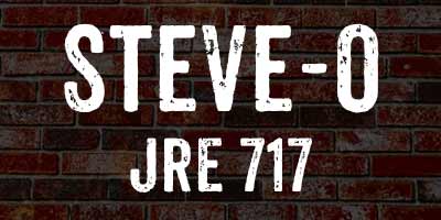 Steve-O on The Joe Rogan Experience