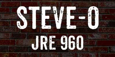 Steve-O on The Joe Rogan Experience, JRE 960