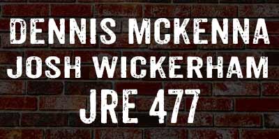 Dennis McKenna and Josh Wickerham on Joe Rogan 477