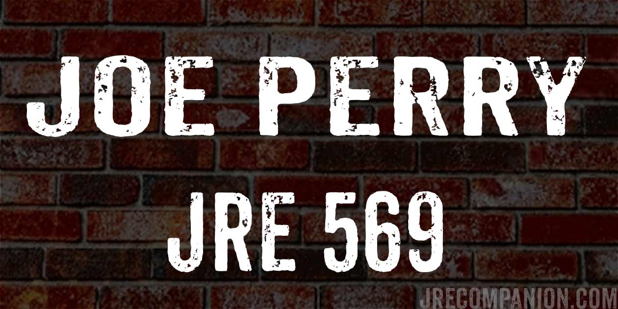 Joe Perry on Joe Rogan podcast 569