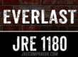Everlast on Joe Rogan Podcast 1180