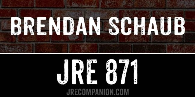 Brendan Schaub on JRE 871