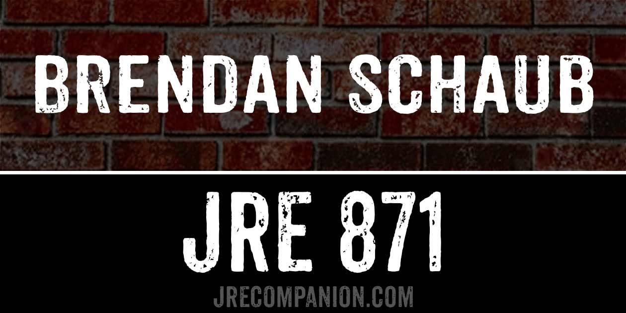 Brendan Schaub on JRE 871
