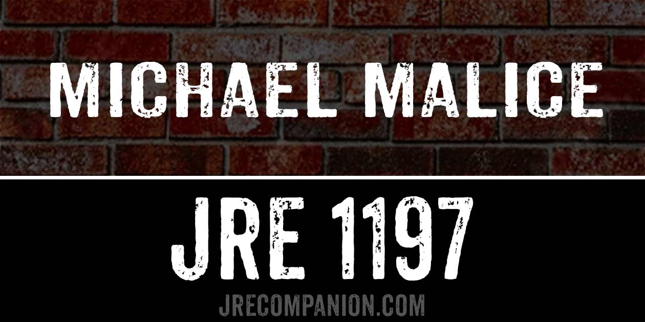 Michael Malice on Joe Rogan 1197 Michael Malice on Joe Rogan 1197