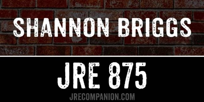 Shannon Briggs on Joe Rogan Podcast 875