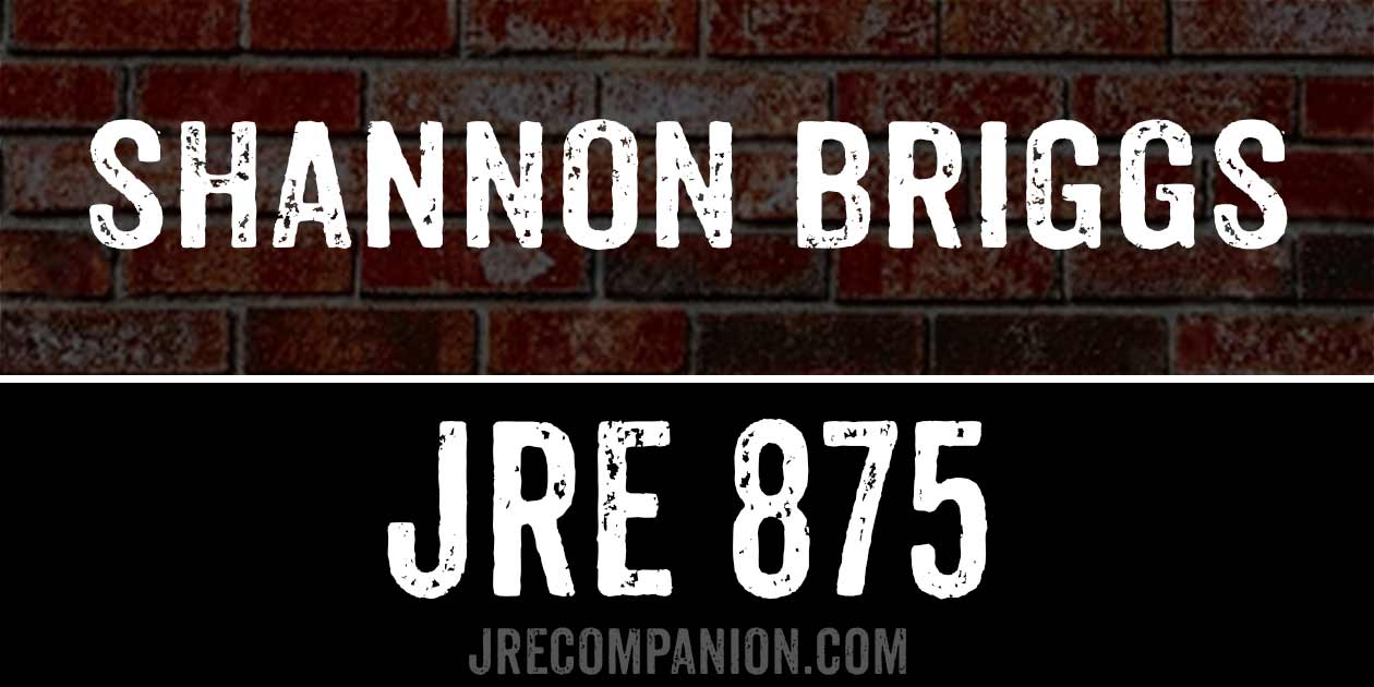 Shannon Briggs on Joe Rogan Podcast 875