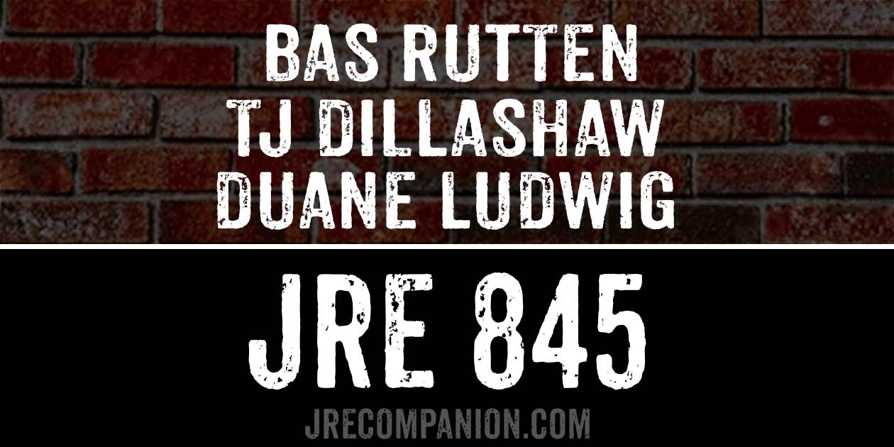 Bas Rutten, TJ Dillashaw and Duane Ludwig