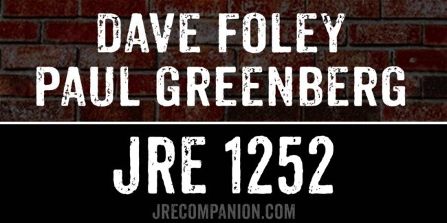 Dave Foley & Adam Greenberg on Joe Rogan Podcast