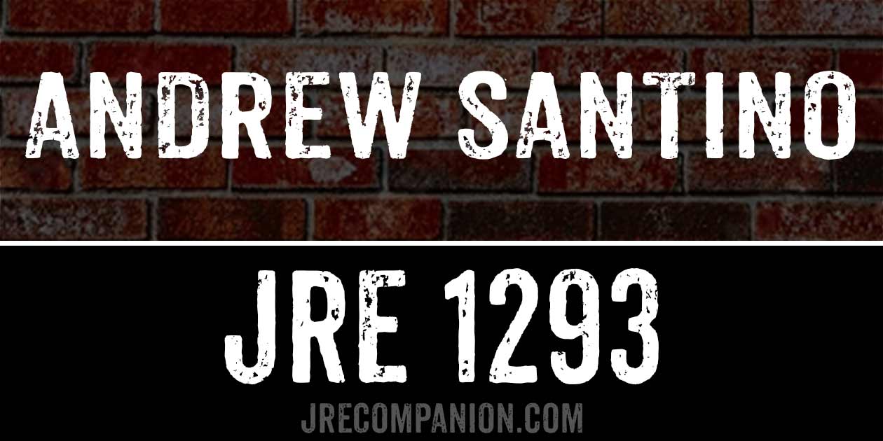 Andrew Santino on Joe Rogan 1293