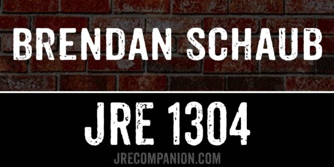 Brendan Schaub on Joe Rogan 1304