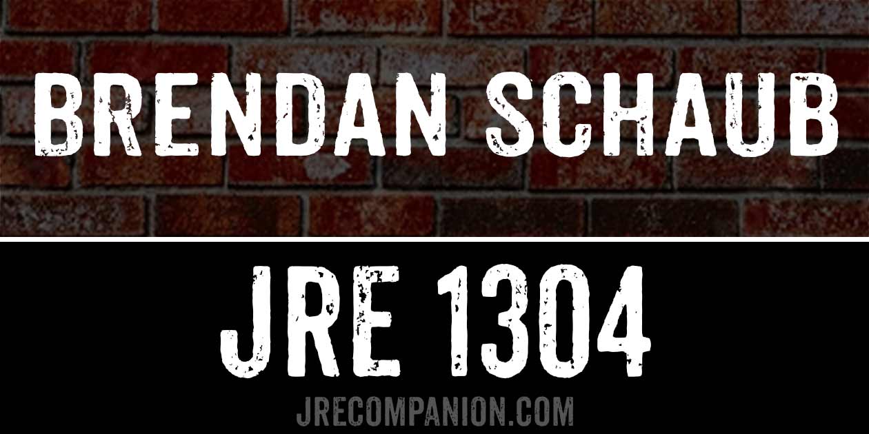 Brendan Schaub on Joe Rogan 1304