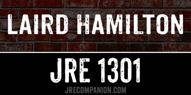 Laird Hamilton on Joe Rogan podcast 1301