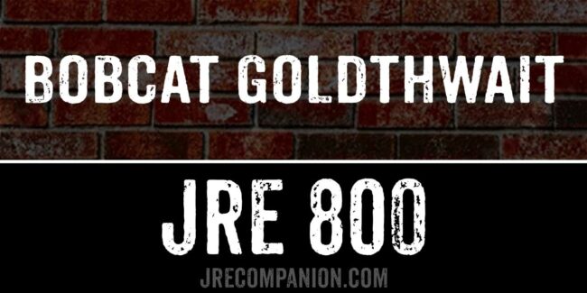 Bobcat Goldthwait on Joe Rogan 800