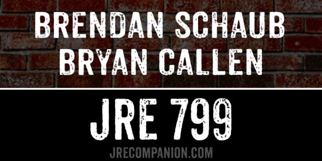 Brendan Schaub & Bryan Callen on JRE 799