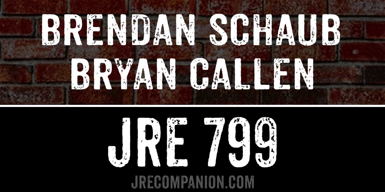 Brendan Schaub & Bryan Callen on JRE 799
