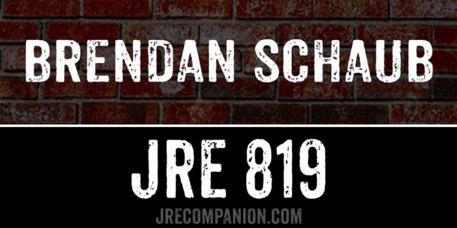 Brendan Schaub on Joe Rogan Podcast 819