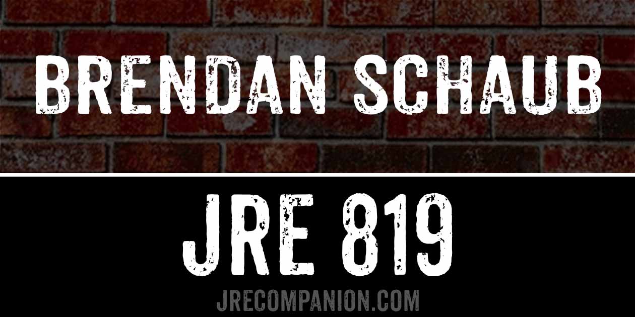 Brendan Schaub on Joe Rogan Podcast 819