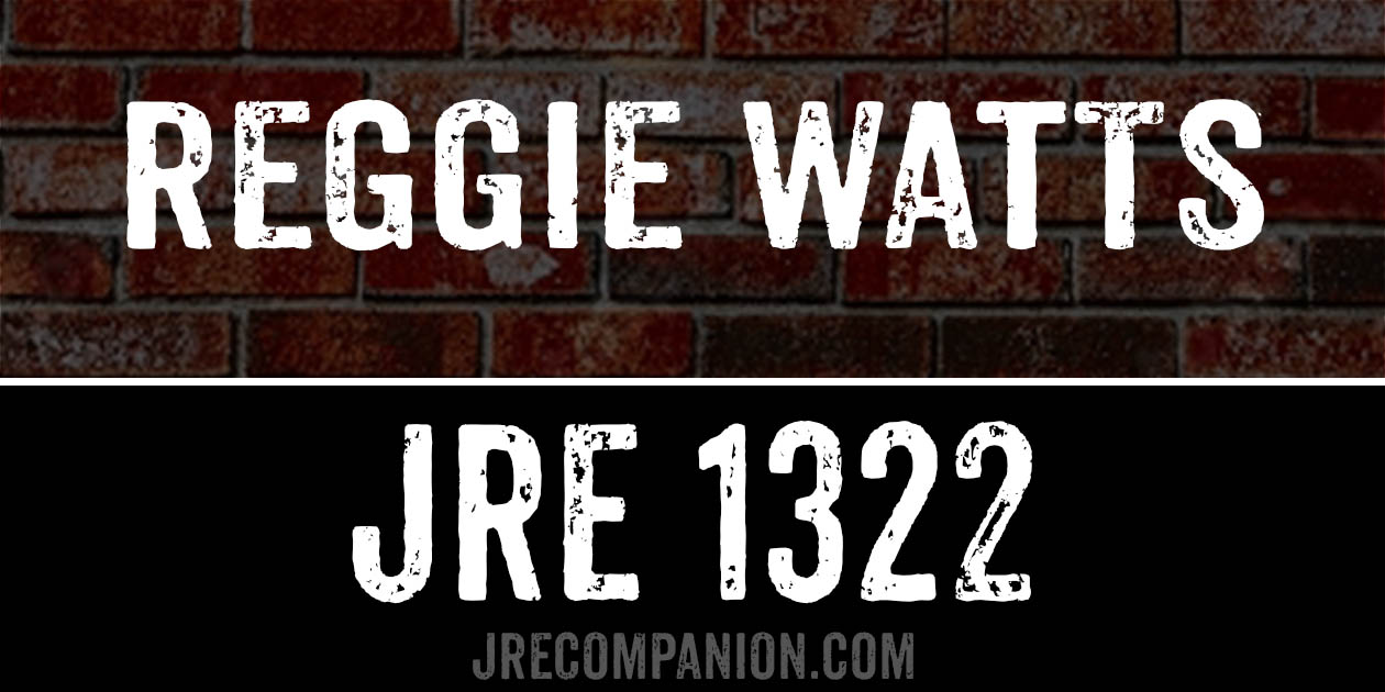 Reggie Watts on Joe Rogan Podcast 1322